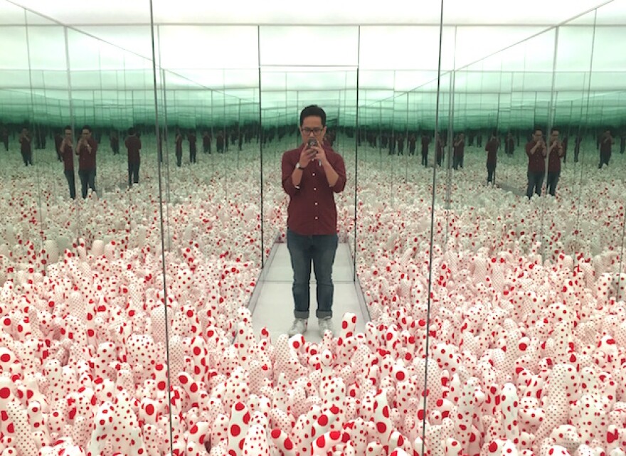 phallis_field.jpeg
