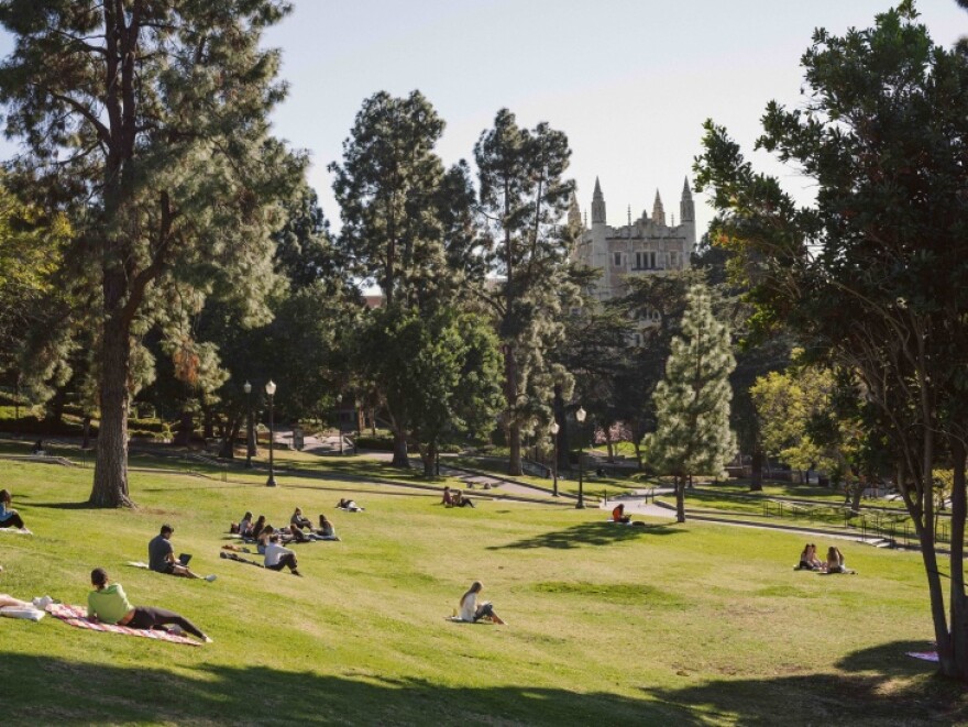 Students Lounge on grass near Royce Hall at UCLA.