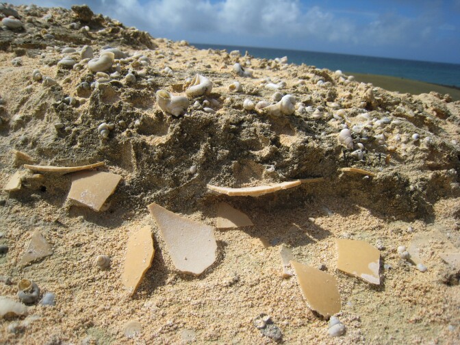 Fragments of elephant bird eggshell can be found lying on the beach or buried in sand dunes in Madagascar.