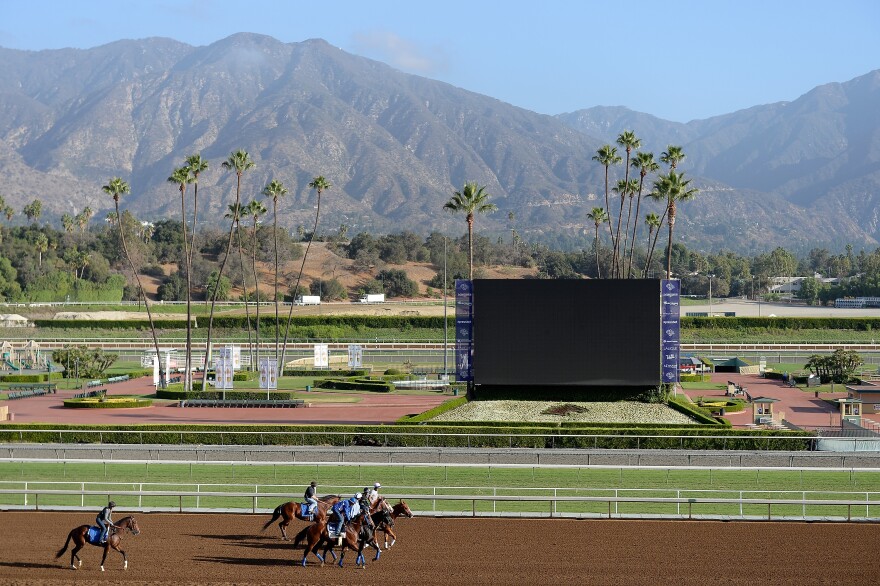 ARCADIA, CA - OCTOBER 27:  Horses are led to the track to train in preparation for the 2014 Breeder's Cup at Santa Anita Park on October 27, 2014 in Arcadia, California.  (Photo by Harry How/Getty Images)