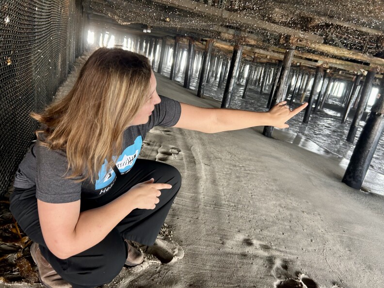 A female presenting person with long hair crouches at the beach. She is under a pier.