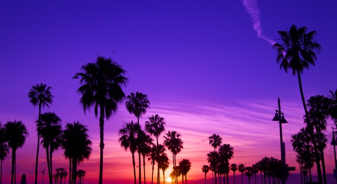 A sunset in Venice Beach.