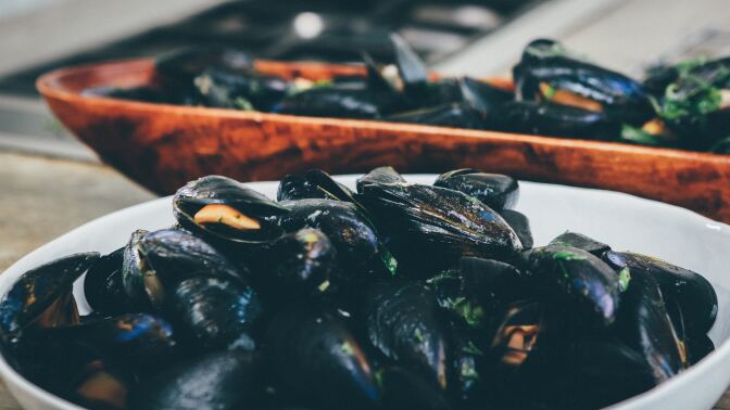 Mediterranean mussels could survive and thrive in increasingly acidic water