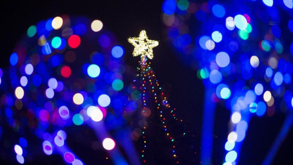 an illuminated star sits atop an illuminate christmas tree
