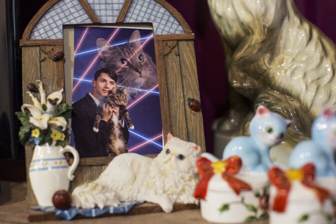 The “Crazy Cat Ladies” exhibit opened in October and will be on view until November 27 at The Animal Museum in the Arts District.