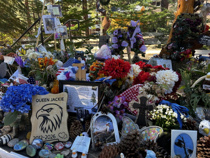 A memorial for an eagle named Jackie features flowers, flags, photos, pinecones and a sign reading "Queen Jackie 2012-2026."
