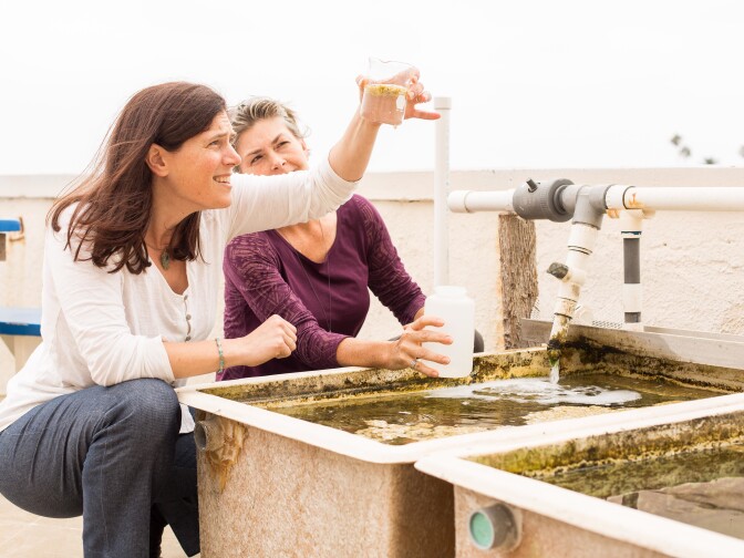 Victoria Orphan, 2016 MacArthur Fellow, Kerckhoff Marine Laboratory, Corona Del Mar/CA, September 7, 2016