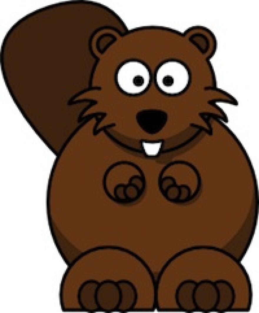 beaver.jpg
