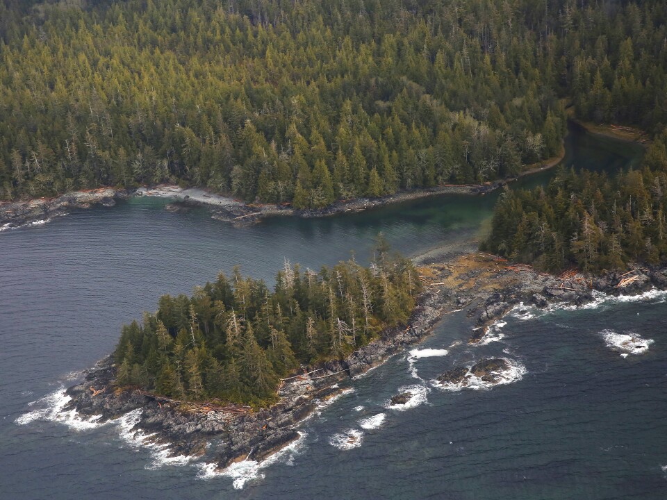 The Tongass National Forest is home to spruce, hemlock and cedar trees that have been a source of timber for the logging industry. Much of the Tongass remains closed to logging because of the 2001 Roadless Rule.