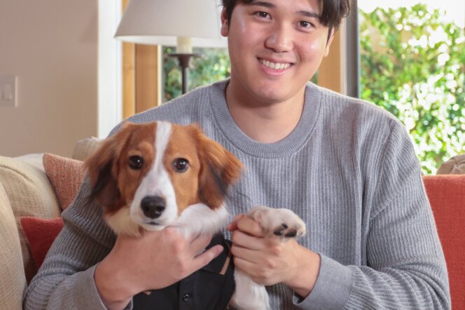 A man with medium-length black hair in a gray sweater and black pants is hugging a brown and white dog. The man is holding the dog's paw up to look like it's waving at the camera. 