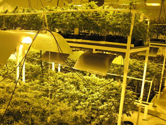 Long Beach Police raided seven medical marijuana dispensaries Wednesday, Oct. 10, 2012. Several of the dispensaries operated elaborate marijuana growing facilities.