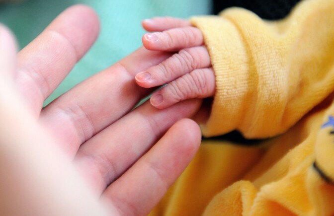 A newborn baby touches its mother's handon September 17, 2013 at the Lens hospital in France.