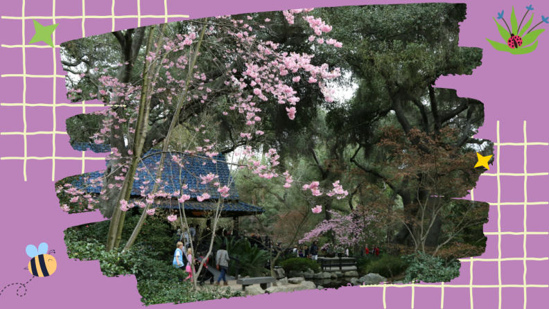 "A peaceful garden scene with blooming pink cherry blossom trees over a traditional blue-tiled gazebo. People stroll along pathways surrounded by lush greenery and flowering trees. The image has a purple decorative border with nature-themed icons including a bee and flower.