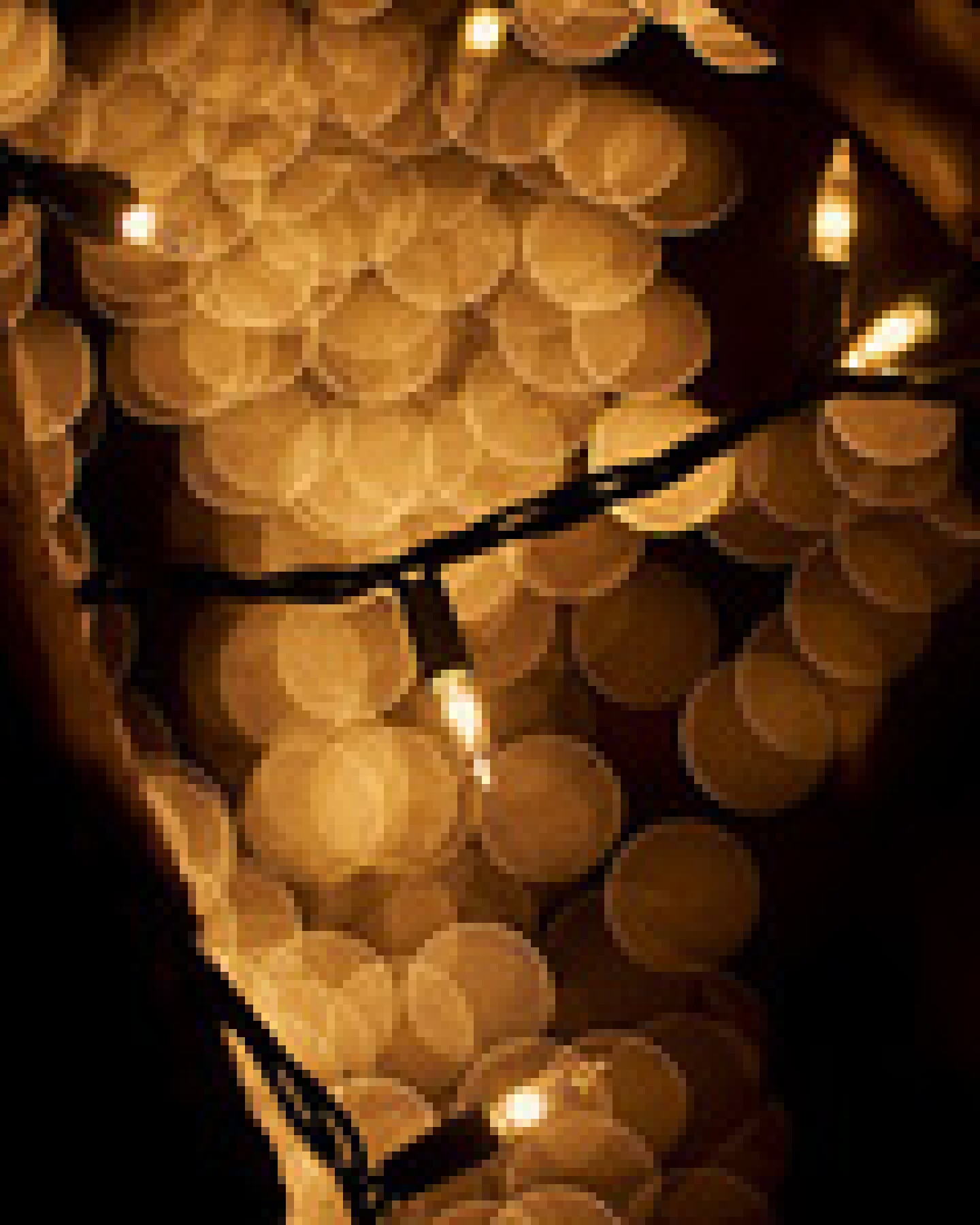 5b2c562c4488b3000927e912-original.jpg