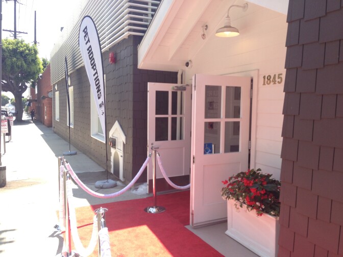The new NKLA Pet Adoption Center in West Los Angeles opened August 1. Sunday marked the center's official ribbon cutting ceremony.