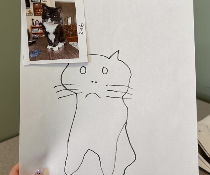 A hand drawn simplistic portrait of a cat frowning, with the real picture of the black and white cat stapled to the top left of the paper.