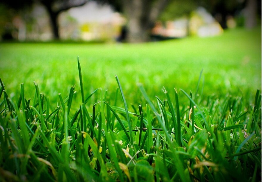 green-grass-homes.jpg
