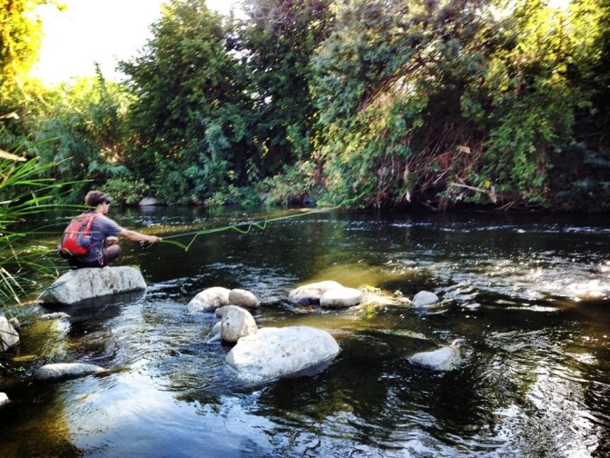 "I live in Silver Lake near the River and visit weekly. The zone near me (Atwater) is thriving and brings me such happiness and peace. When I bring friends along, they just can't believe it. Open kayaking on the River this summer was so joyful! So much good work is being done by FoLAR and others. Just keep up the good work!  I wish more Angelenos were aware of this unexpected natural space."