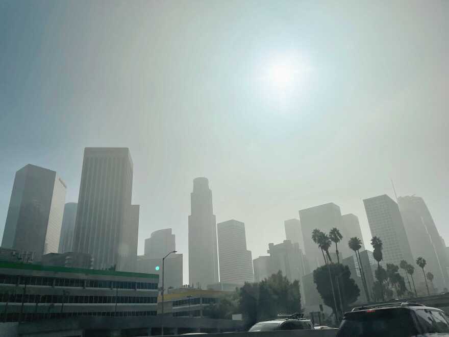A foggy downtown L.A. with a view of several skyscrapers and palm trees along the road.