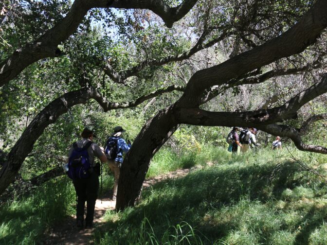 Hikers enjoy the Backbone Trail near Topanga Meadows in the Santa Monica Mountains National Recreation Area.