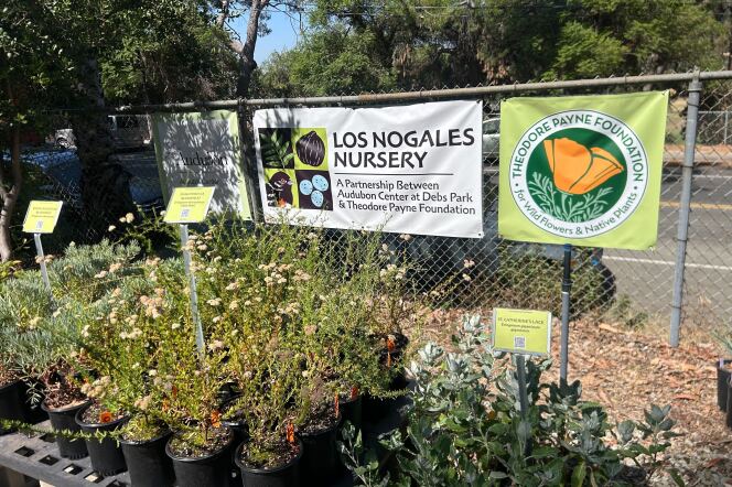 On a gate a white banner is hung that reads "Los Nogales Nursery." To the right of the banner is another square-shaped, light-green banner with an orange poppy at the center. On a table in fron of the gate is several potted plants with green signs that say their names.