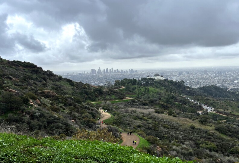 The downtown L.A. skyline and Griffith Observatory, seen on a cloudy day from a trail in Griffith Park.