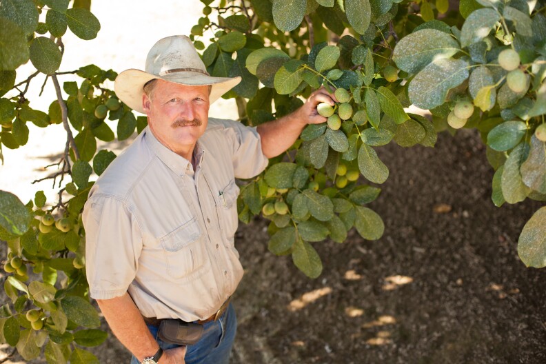 Paul Wenger, an almond farmer and president of the California Farm Bureau.