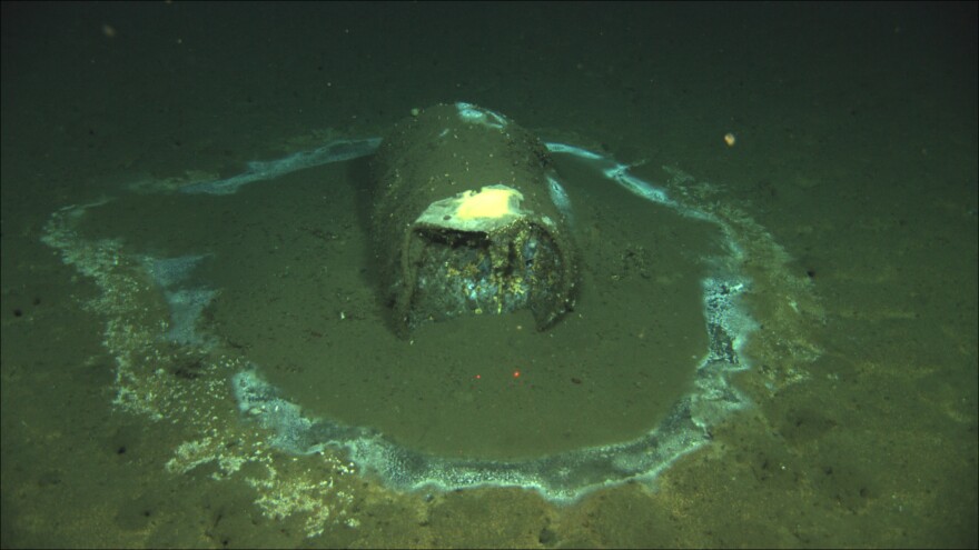 A muddy looking cylinder with a white circle around it in brown sand.
