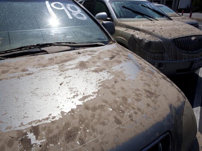 Cars considered a total loss from the UCLA flood are lined in a parking lot near Jackie Robinson Stadium.