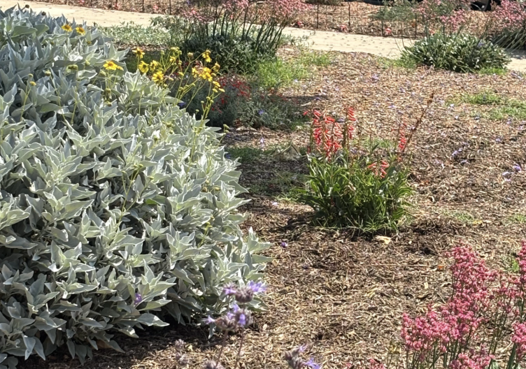 Southern California Communities Offer Free Mulch to Residents