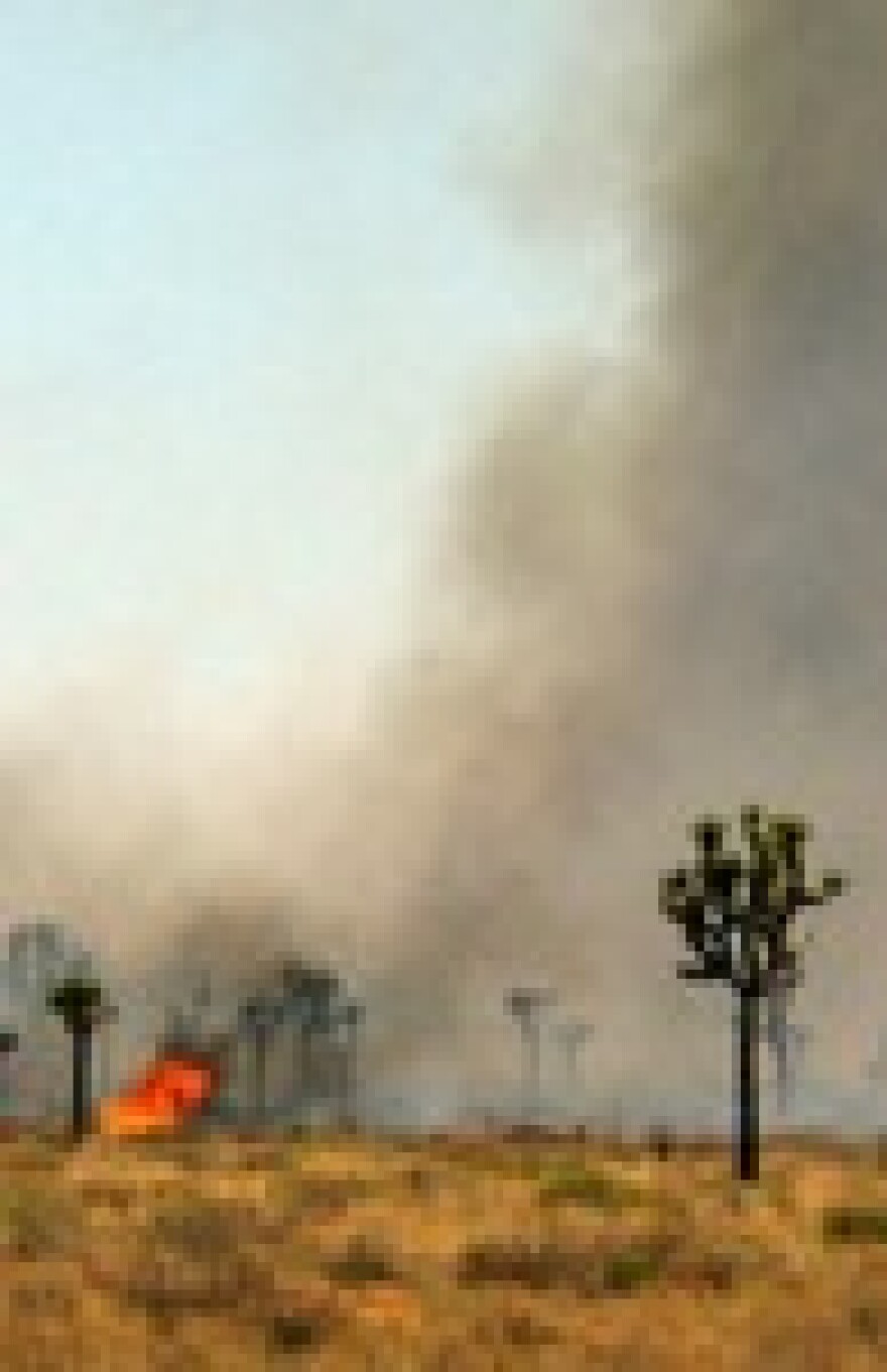 joshua-tree-fire.jpg