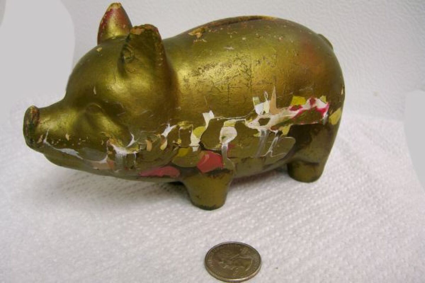 Piggy.jpg