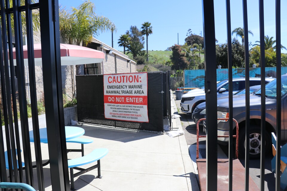 A wide view of the small triage center in the parking lot. It's fence off with a large sign that says in red and black letters, caution: emergency marine mammal triage area. Do not enter.