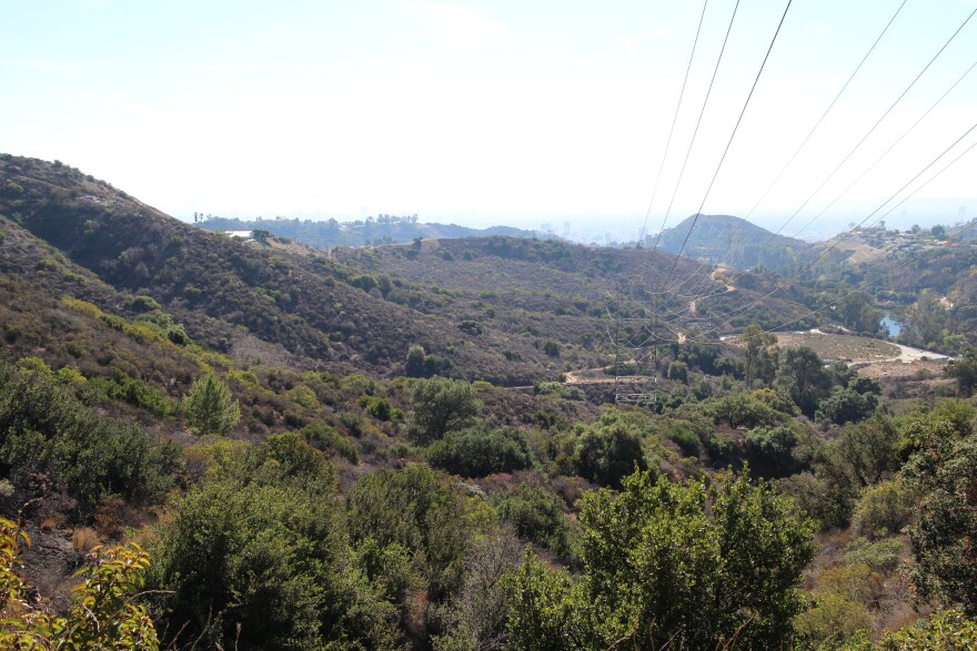 Undeveloped land to the west of Griffith Park may receive new trails if the Los Angeles Department of Water and Power agrees to lease the property to the Los Angeles City Department of Recreation and Parks. The land is considered to be a vital wildlife corridor into the Santa Monica Mountains.