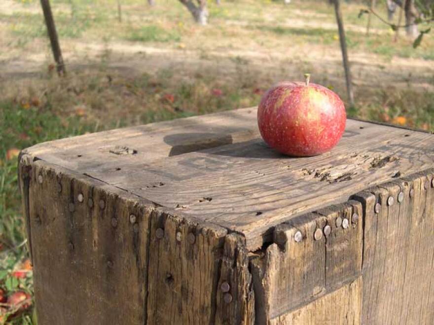 hp_apples.jpg