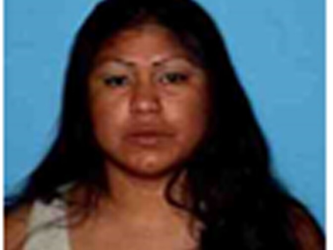 Lina Fuentes, 35, who remains a fugitive following the Operation SuperNova crackdown Wednesday, Nov. 20, 2013.