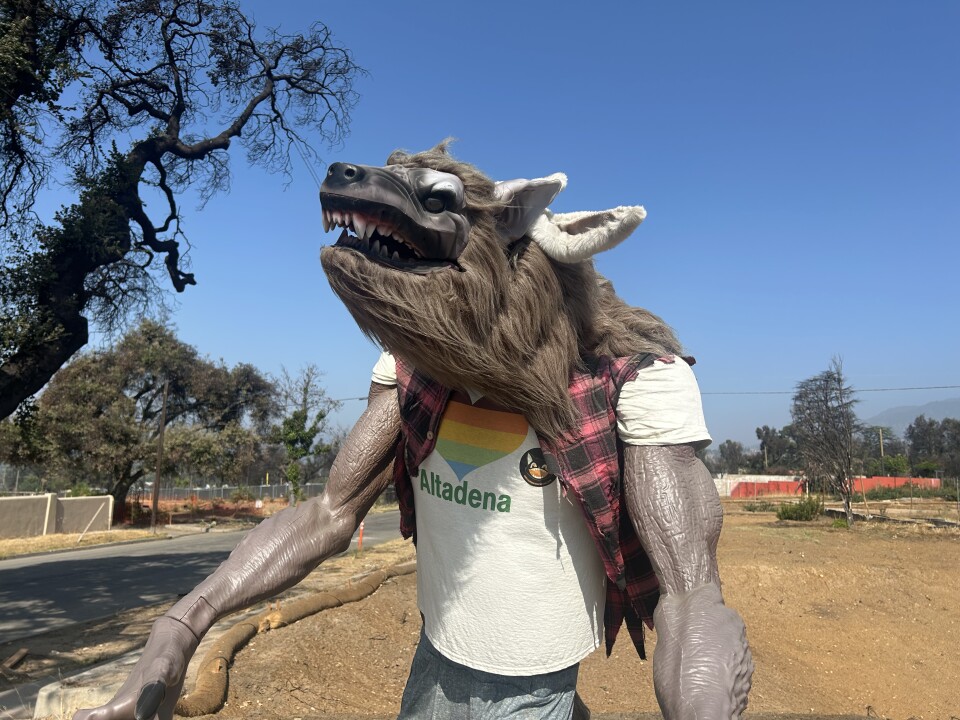 An up close photo of a werewolf statue wearing a shredded red flannel and a white t-shirt that says "We Love Altadena".