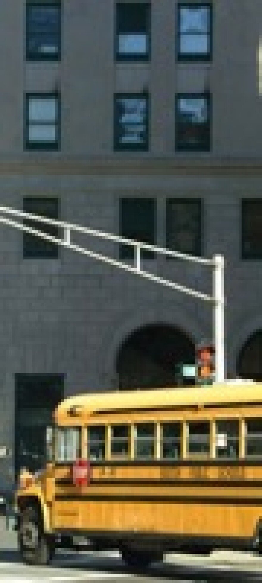 bus-sting.jpg