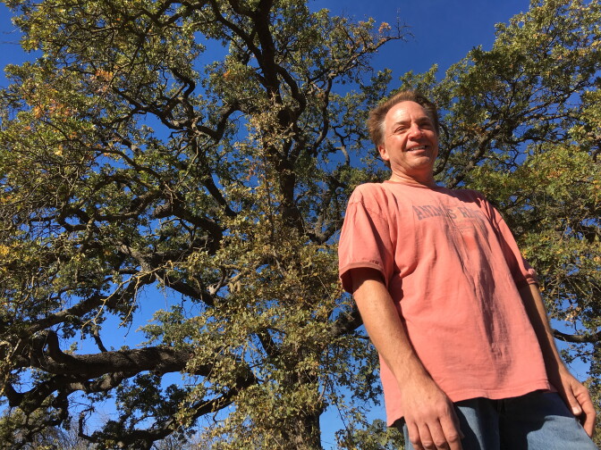 Vince Curtis stands in front of a mature valley oak. He hopes the ones he has planted grow this large someday.