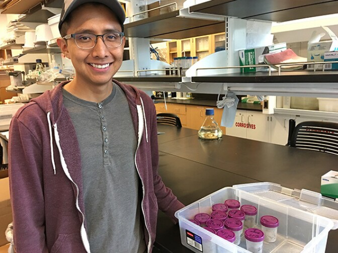 Daniel Begay found that one gram of juniper ash contained about as much calcium as a glass of milk.