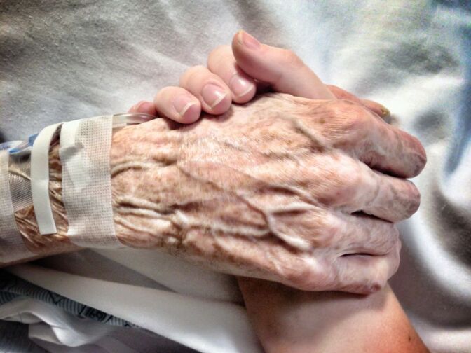 Kate Carter's contest-winning image in which she holds hands with her grandmother Jean, who passed away last week.