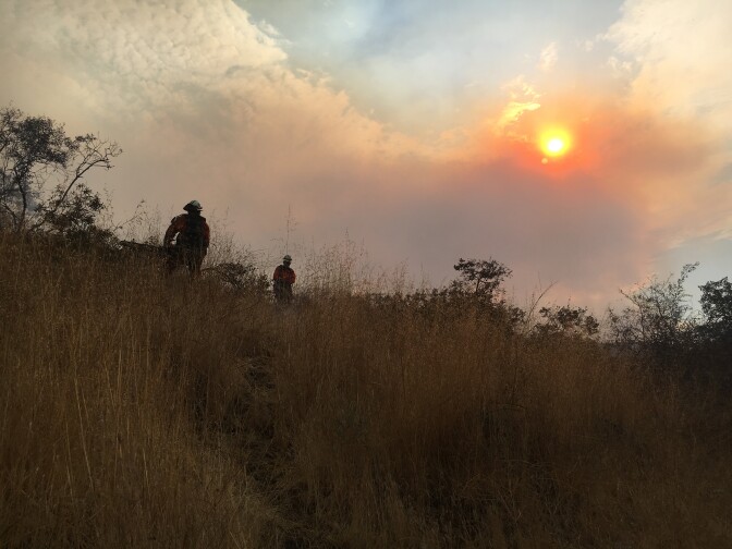 Firefighters clear brush above Cabrini Villas in Burbank as they fight the La Tuna Fire on Sunday, September 3, 2017.