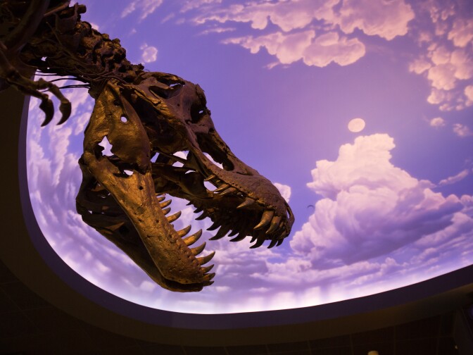 Children's room at the Cerritos Library on Jan. 28, 2018 in Cerritos.