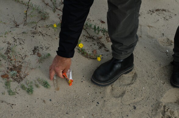 A closeup of a hand with light tan skin picking up trash on sand of the beach. 