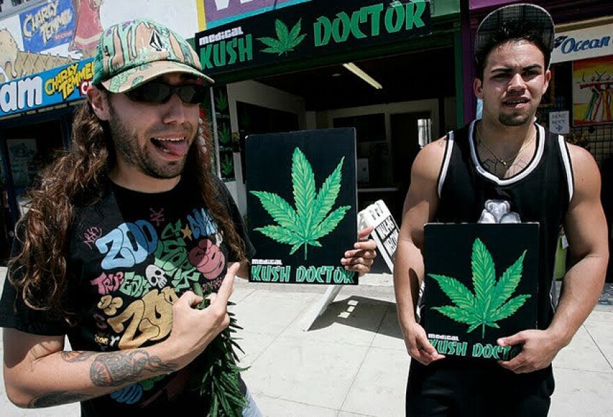 KushDoctor.jpg