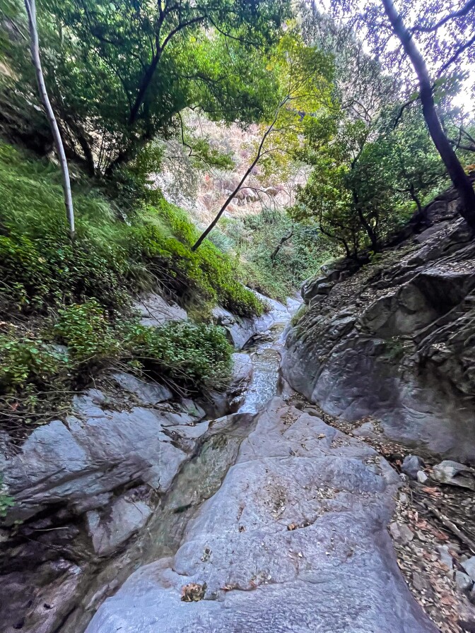 A narrow creek along the Mount Wilson Trail flows downhill between slabs of gray rock. Above, green shrubs and trees shoot out from the rock to shade the stream of water. 