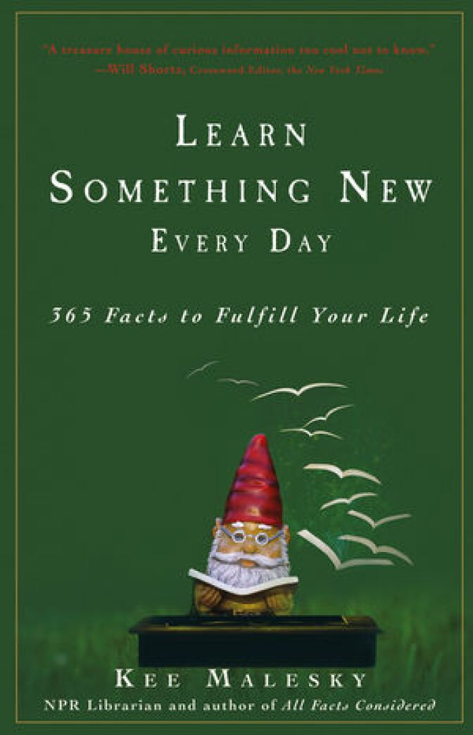 Cover of Kee Malesky's book "Learn Something New Every Day."