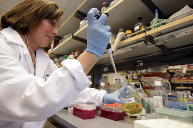 This March 16, 2012 photo shows a researcher working in a stem cell research lab. California’s stem cell agency has awarded two private biotech companies, ViaCyte Inc. and Bluebird Bio, nearly $20 million toward the development of treatments for diabetes and for a sometimes fatal genetic blood disorder.