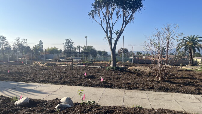 A wide shot of a fire-scarred property with mulch on top of it. 