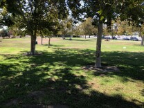 There's no sign of homeless people living in Devonwood Park. That's partly why residents were shocked to hear of the attack.